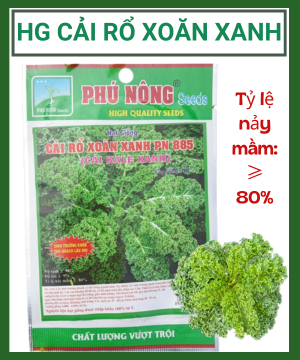 Hạt giống cải rổ xoăn xanh PN885 (kale) – Dễ trồng, ăn ngon, giàu dinh dưỡng