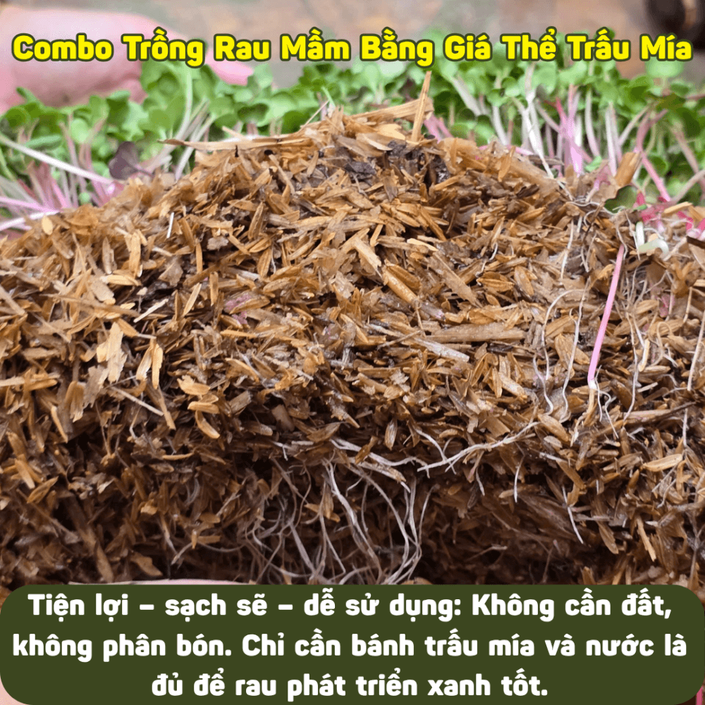 Combo Trồng Rau Mầm Bằng Giá Thể Trấu Mía – Rau Sạch Mỗi Ngày, Dễ Trồng Mọi Nơi 2