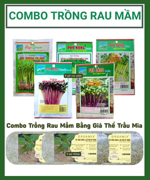 Combo Trồng Rau Mầm Bằng Giá Thể Trấu Mía – Rau Sạch Mỗi Ngày, Dễ Trồng Mọi Nơi