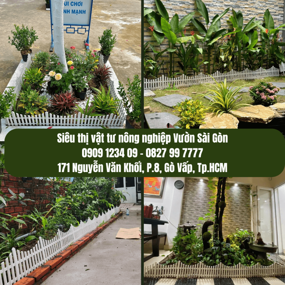 HÀNG RÀO NHỰA DẺO HÌNH CÁNH BƯỚM TRANG TRÍ SÂN VƯỜN & LỐI ĐI ĐỘC ĐÁO 3