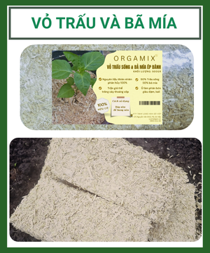 Vỏ Trấu & Bã Mía Ép Bánh Orgamix – Giá Thể Cho Đất Tơi Xốp, Giữ Ẩm Tốt