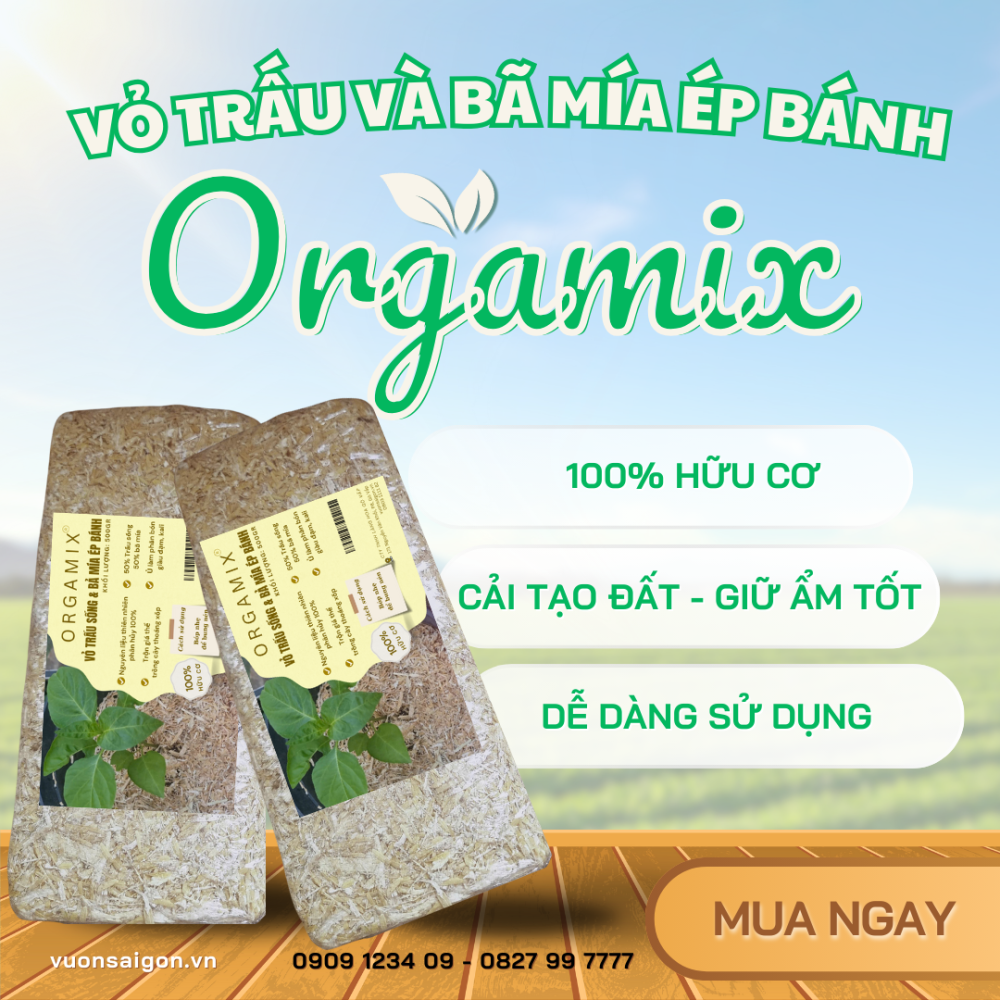 Vỏ Trấu & Bã Mía Ép Bánh Orgamix – Giá Thể Cho Đất Tơi Xốp, Giữ Ẩm Tốt 2