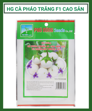 Hạt giống cà pháo trắng F1 cao sản 123