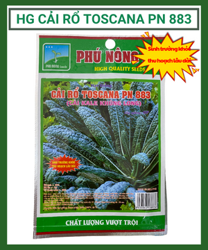 Hạt giống cải rổ Toscana PN 883 – Cải kale khủng long