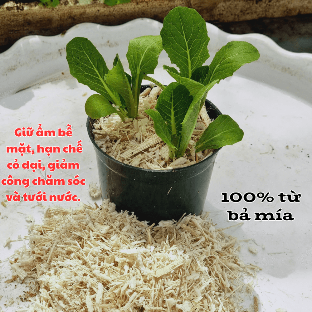 Bã Mía Vụn Ép Bánh Orgamix – Giá Thể Hữu Cơ Từ Bã Mía 100% Tự Nhiên 3