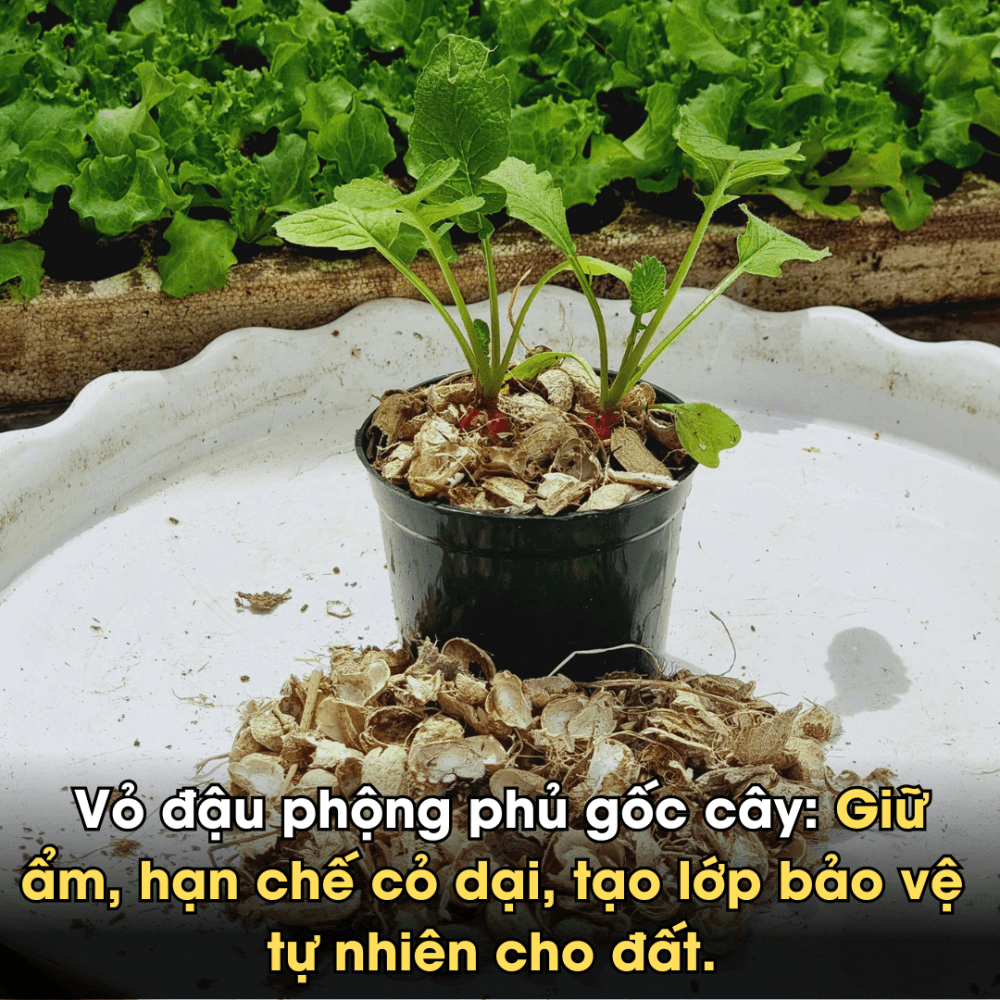 Vỏ Đậu Phộng Ép Bánh Orgamix – Giá Thể Hữu Cơ Từ Thiên Nhiên, Giàu Đạm, Tơi Xốp Đất 2