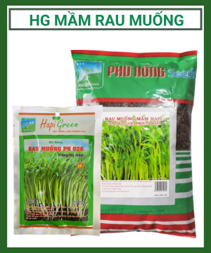 Hạt giống mầm rau muống Phú Nông
