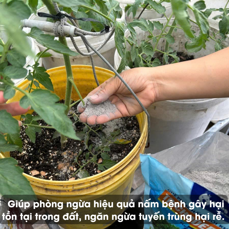 Chế phẩm nấm đối kháng Trichoderma Humic Plus SFARM 2