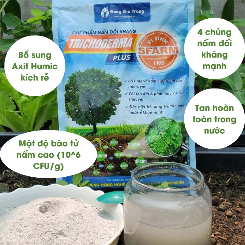 Chế phẩm nấm đối kháng Trichoderma Humic Plus SFARM 3