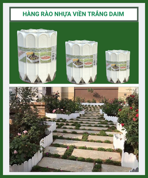 Hàng rào viền trắng Daim Nhật Bản-Hàng rào nhựa trang trí