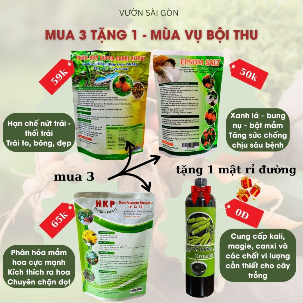 Combo bộ 3 phân bón ( Epsom, Canxi nitrat, MKP) giúp xanh lá, nhiều mầm nụ, hoa đẹp, kích trái xum xuê 3