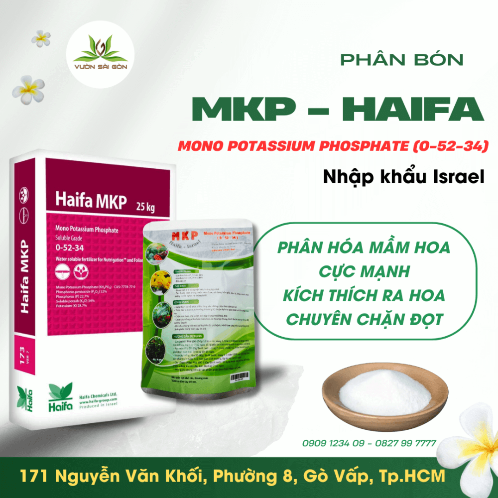 Phân Bón MKP (0-52-34) – Israel (Gói 500gr) kích mầm, kích hoa, dưỡng trái 2