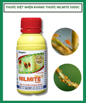 Thuốc diệt nhện kháng thuốc Nilmite 550SC – Hợp Trí. Nhện đỏ hoa hồng, nhện đỏ hại cây, nhện kháng thuốc, thuốc rầy.