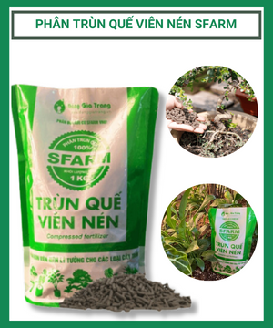 Phân Trùn Quế Viên Nén SFARM cho các loại cây trồng