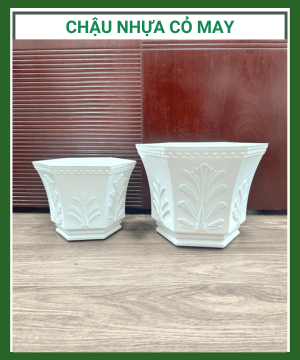 Chậu nhựa trồng cây cỏ may