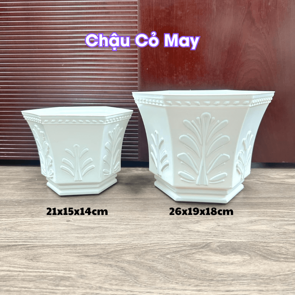 Chậu nhựa trồng cây cỏ may 2