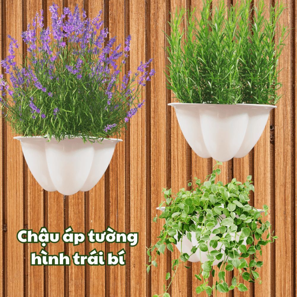 Chậu áp tường hình trái bí trồng rau hoa và cây kiểng 2