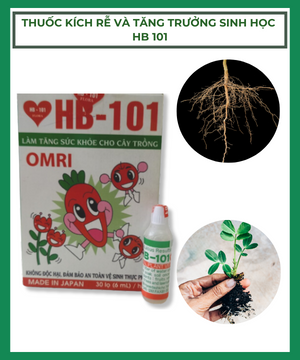Thuốc kích rễ và tăng trưởng sinh học HB-101 Nhật Bản