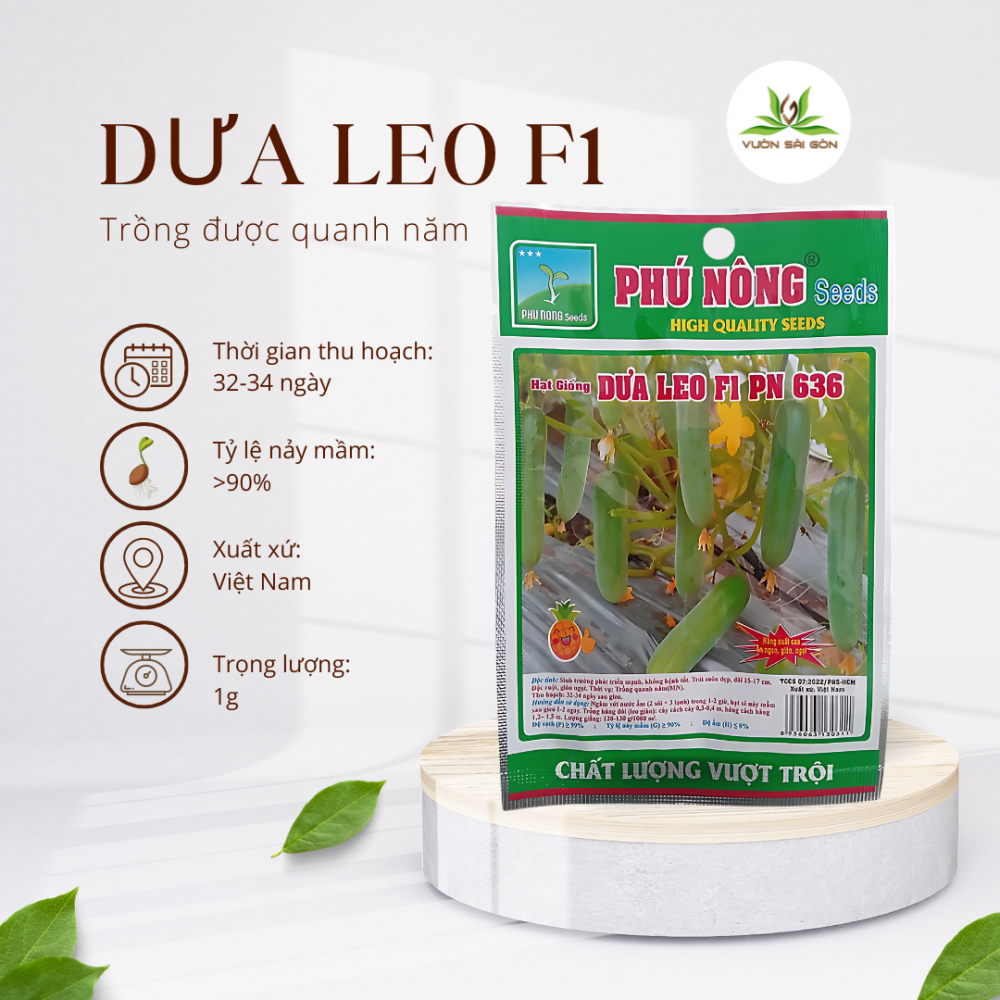 Hạt giống Dưa Leo PN 636 3