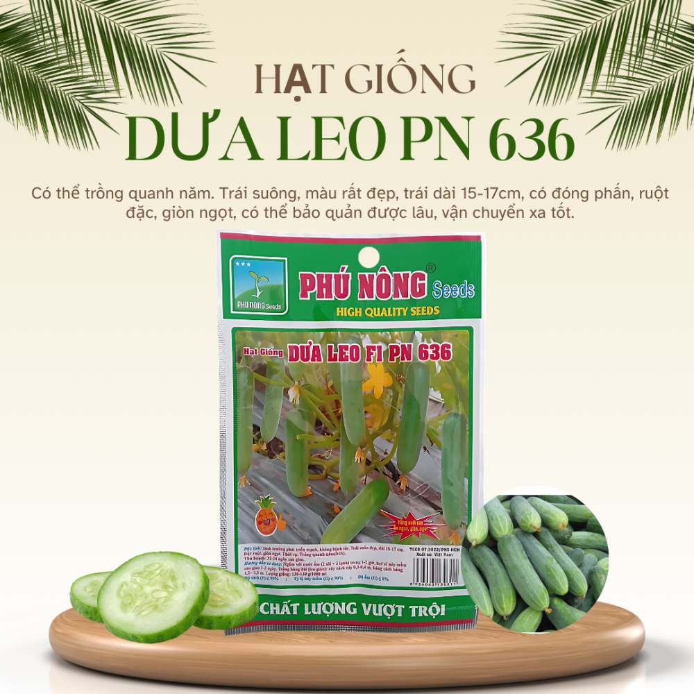 Hạt giống Dưa Leo PN 636 2