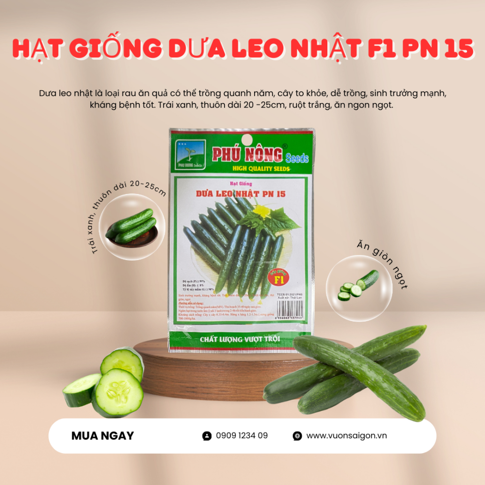Hạt giống Dưa Leo Nhật F1 PN 15 2