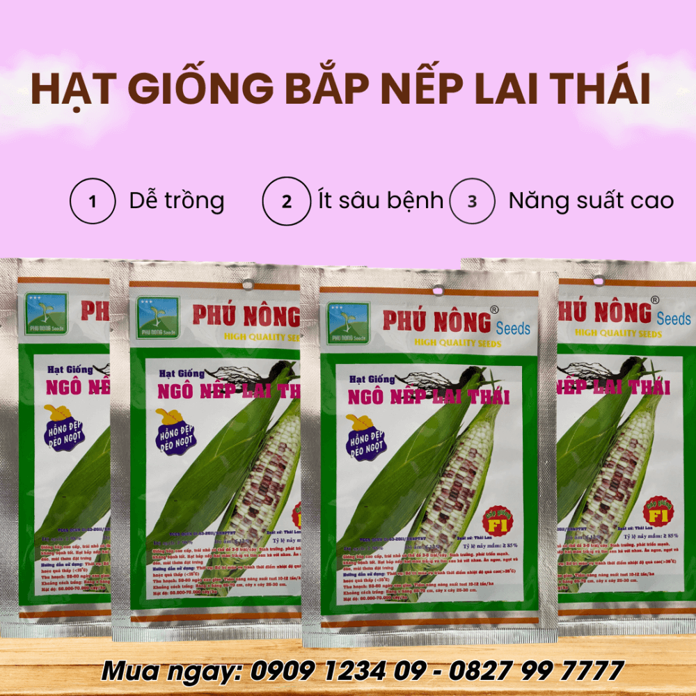 Hạt giống bắp (ngô) nếp lai thái Phú Nông 2