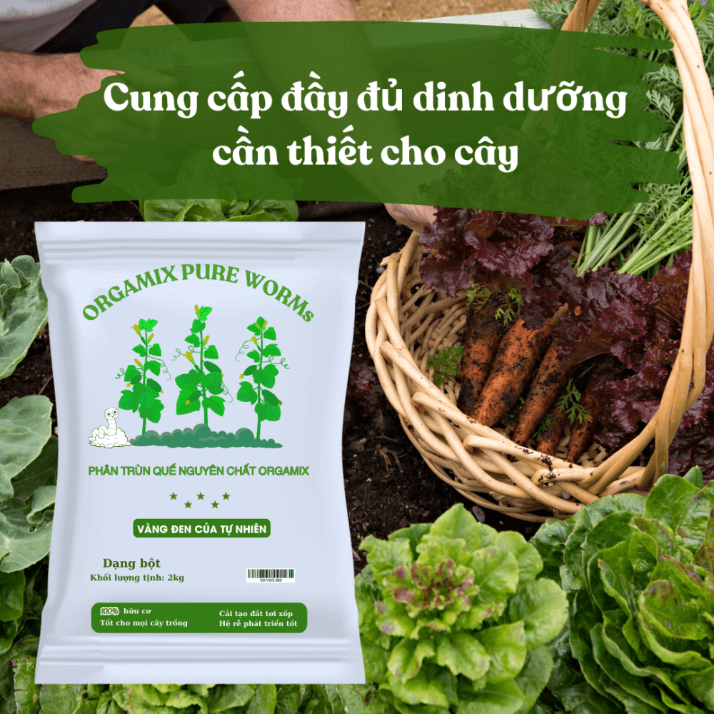 Phân Trùn Quế ORGAMIX PURE WORMs (Dạng bột) 2