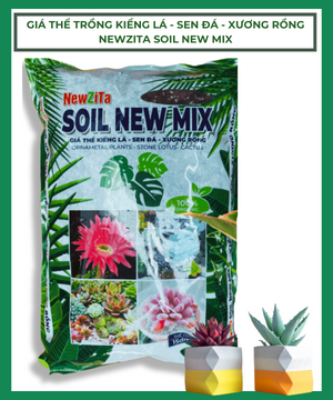 Giá thể trồng Kiểng lá-Sen đá-Xương rồng Newzita Soil New Mix