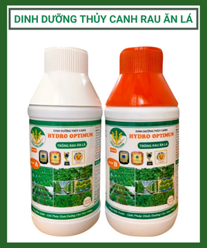 Dinh Dưỡng Thủy Canh Rau Ăn Lá Hydro Optimum