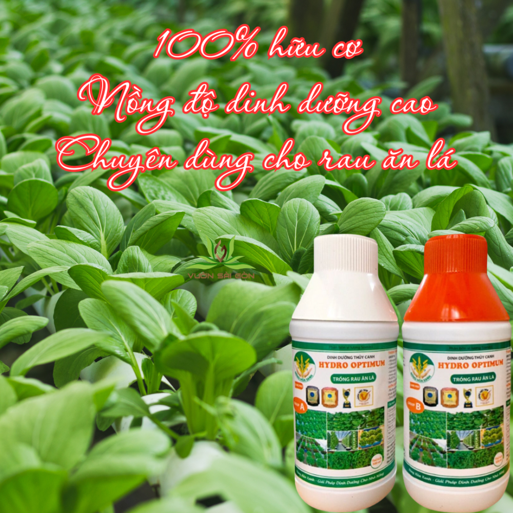 Dinh Dưỡng Thủy Canh Rau Ăn Lá Hydro Optimum 2
