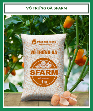 Vỏ Trứng Gà Đặng Gia Trang 1kg (Sfarm)
