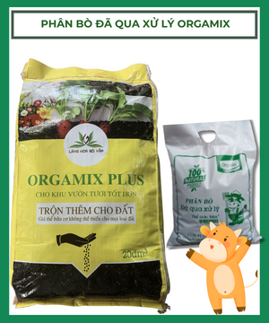 Phân bò Orgamix đã xử lý, ủ hoai mục