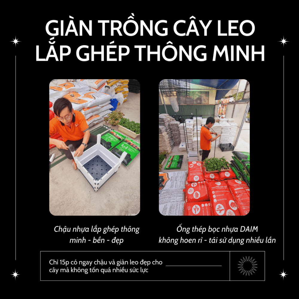 Giàn trồng cây leo lắp ghép thông minh Daim Japan, giàn leo Nhật 3