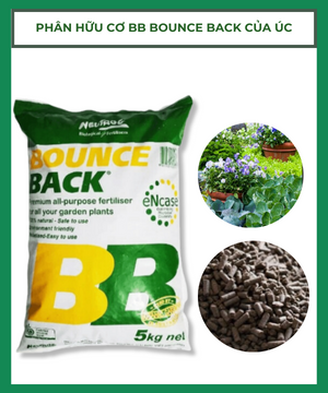 Phân hữu cơ BB Bounce Back nhập khẩu Úc