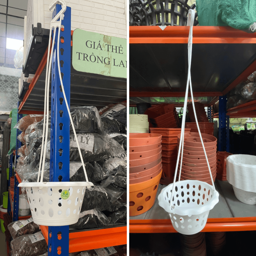 Chậu nhựa tròn trắng trồng lan 2