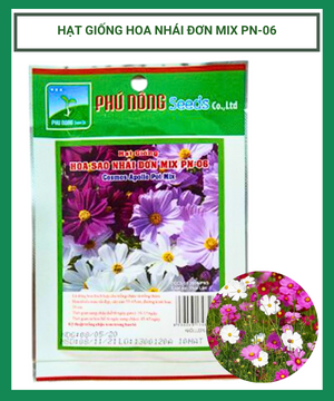 Hạt giống hoa sao nhái đơn mix Phú Nông