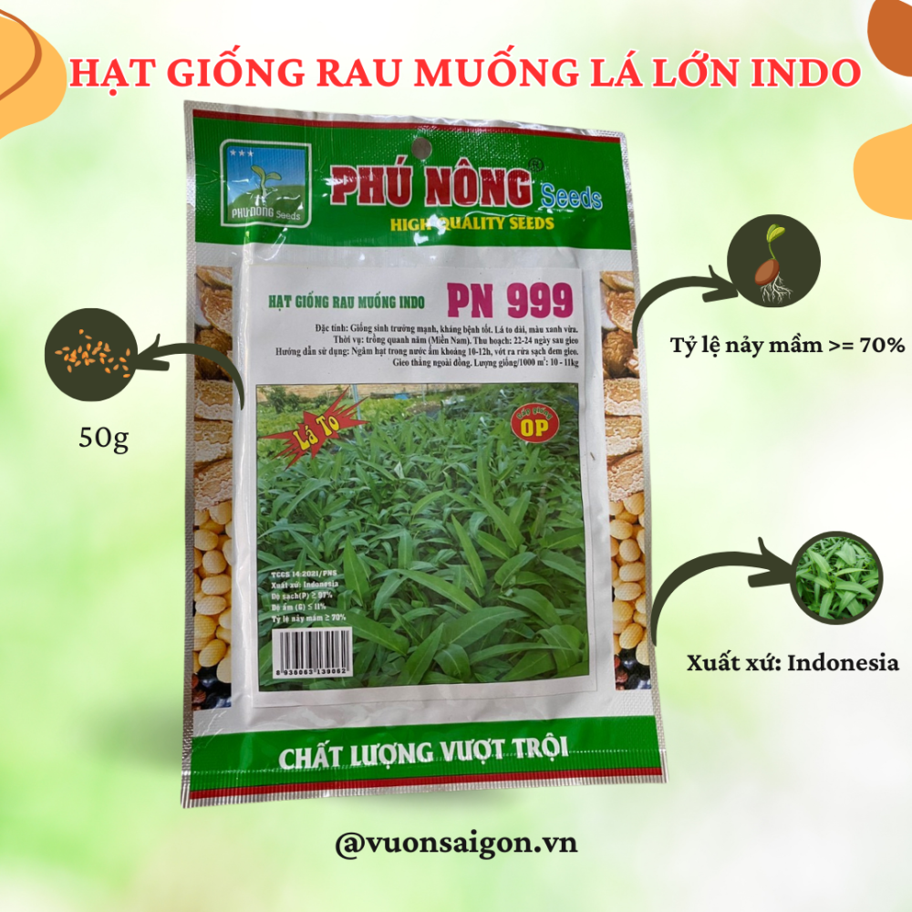 Hạt giống rau muống lá lớn INDO PN-999 3