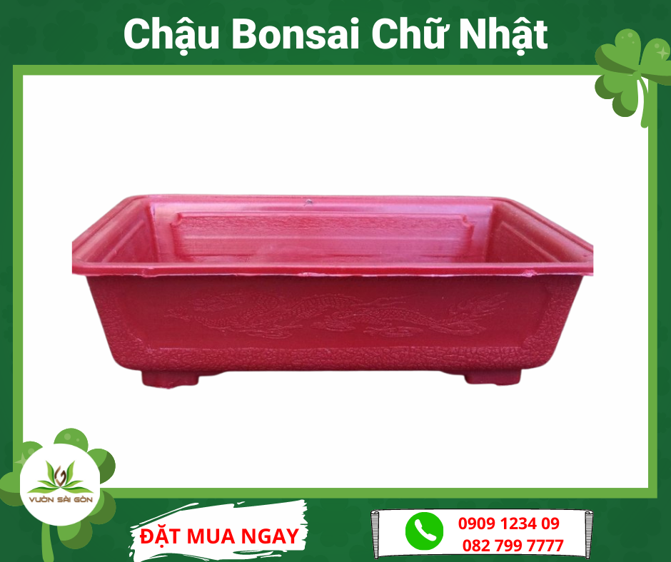 Chậu bonsai mini chậu nhựa trồng cây bonsai