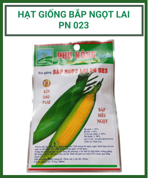 Hạt Giống Bắp Ngọt Lai PN-023