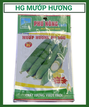 Hạt giống mướp hương – Rất thơm, siêu trái
