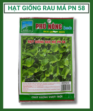 Hạt giống rau má Phú Nông