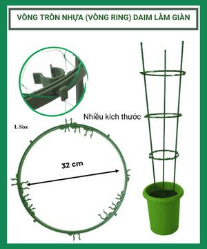 Vòng giữ thân-Vòng tròn Daim làm khung trồng cây