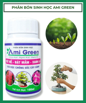 Phân bón sinh học Ami green kích mầm cây cảnh