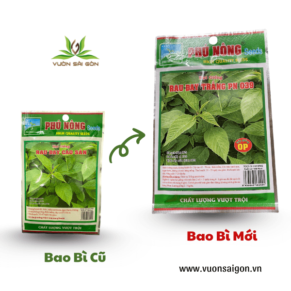 HẠT GIỐNG RAU ĐAY TRẮNG ( Cao sản) 2