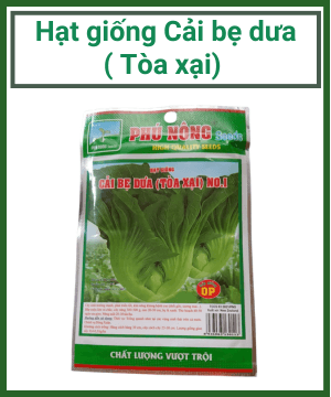 Hạt giống cải bẹ dưa Phú Nông