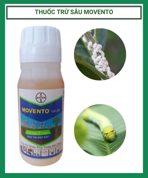 MOVENTO 150 OD – Đặc Trị Rệp sáp