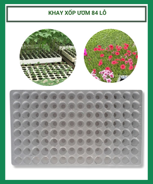 Khay xốp ươm cây 84 lỗ – Khay ươm hạt giống
