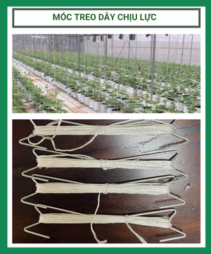 Móc treo dây treo chịu lực