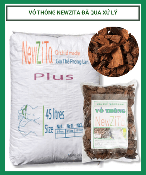 Vỏ thông New Zita đã qua xử lý