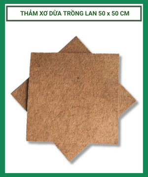 Thảm xơ dừa 50x50x1.2cm-Trồng kiểng lá, phủ chậu, lót chậu